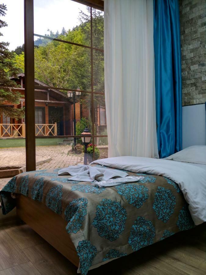 Centro Park Hotel Uzungol Room photo